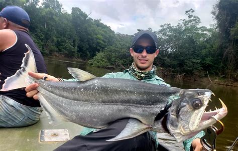 vampire fish|Payara .